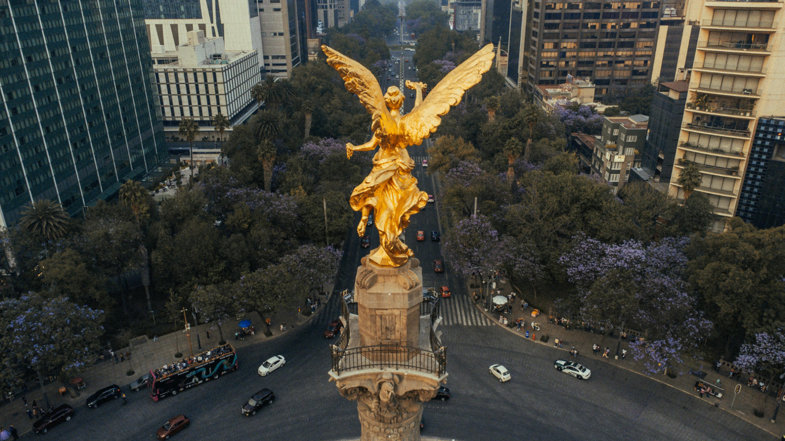 Descubre cuales son sus principios fundamentales del derecho constitucional en México
