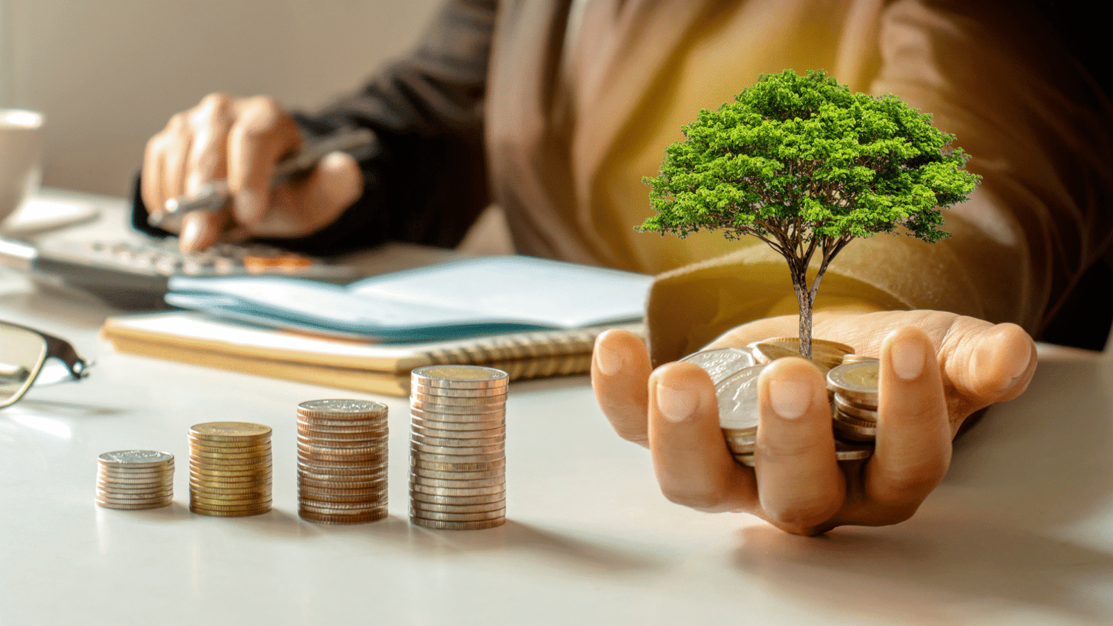 Descubre ¿Qué es una Sociedad Anónima Promotora de Inversión (S.A.P.I.)?